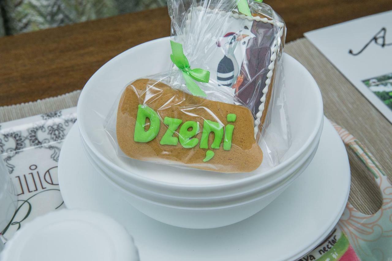 Affittacamere Dzeni Amatciems Esterno foto